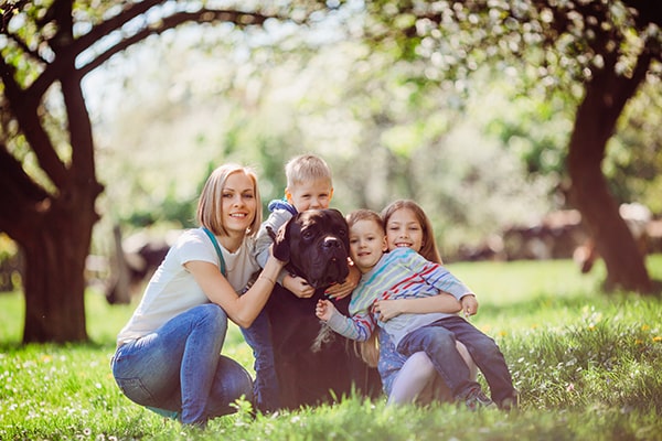 Socializing your Dog