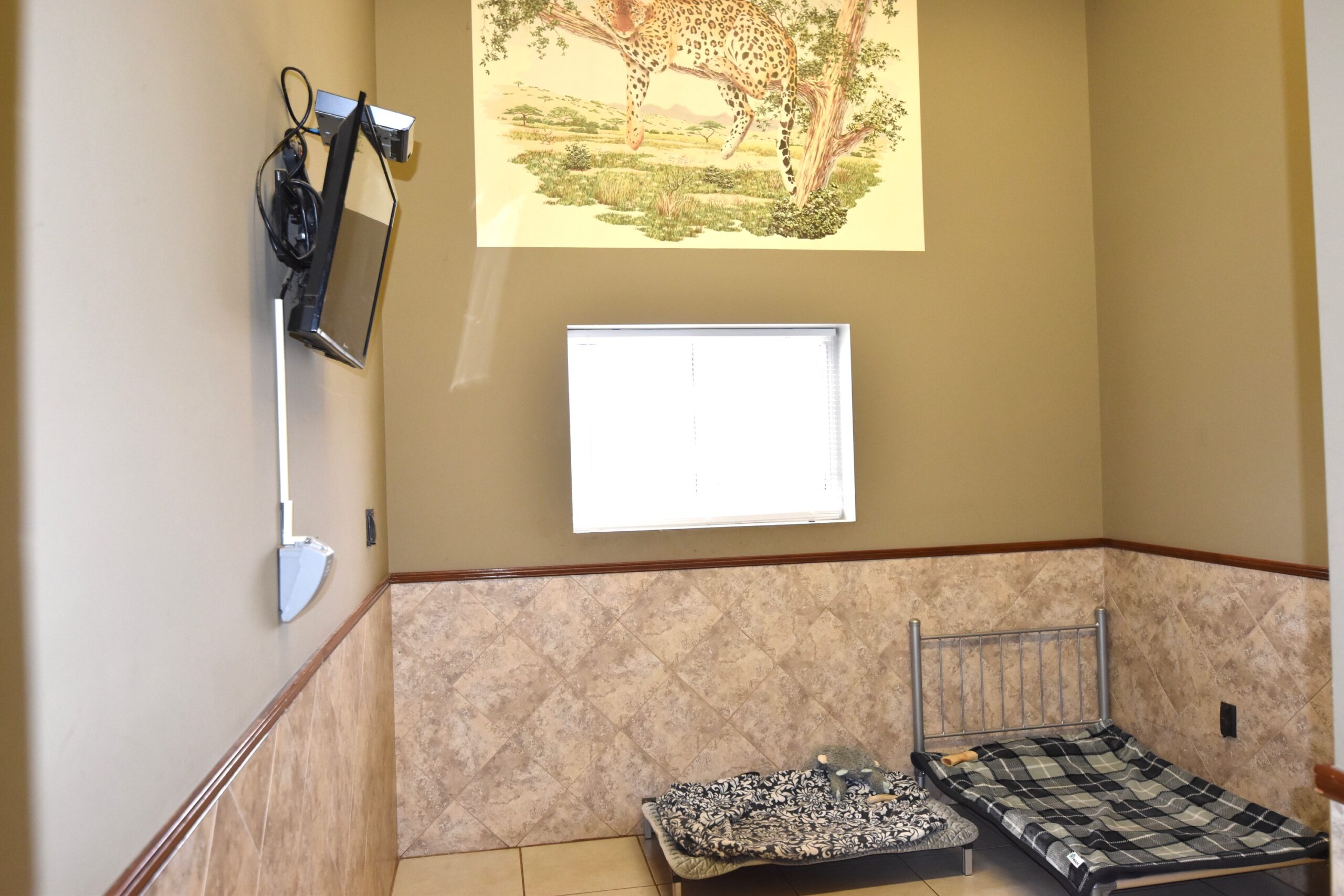 Dog Boarding OUR HOUSE Braselton Our House Braselton Video