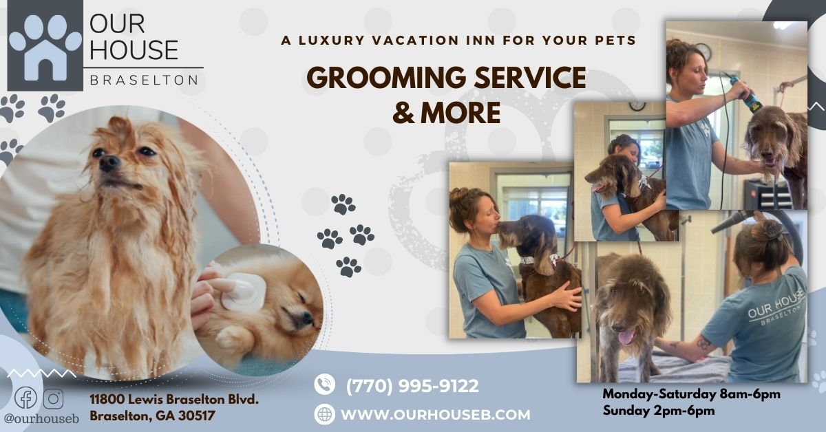 Our House Braselton Dog Grooming OUR HOUSE Braselton