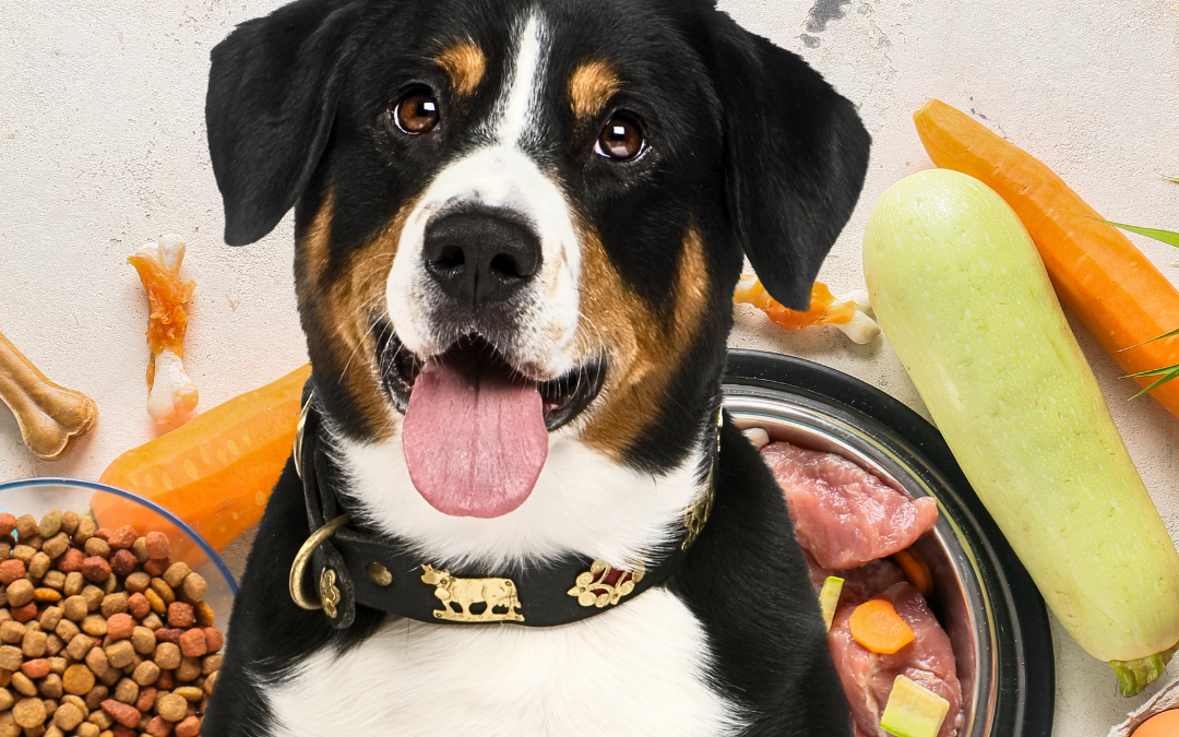 The Ultimate Guide to Keeping Your Pet Healthy with Nutritious Meals