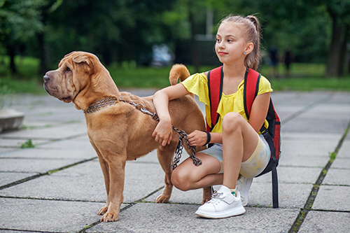 How Pets Feel When Kids Go Back to School