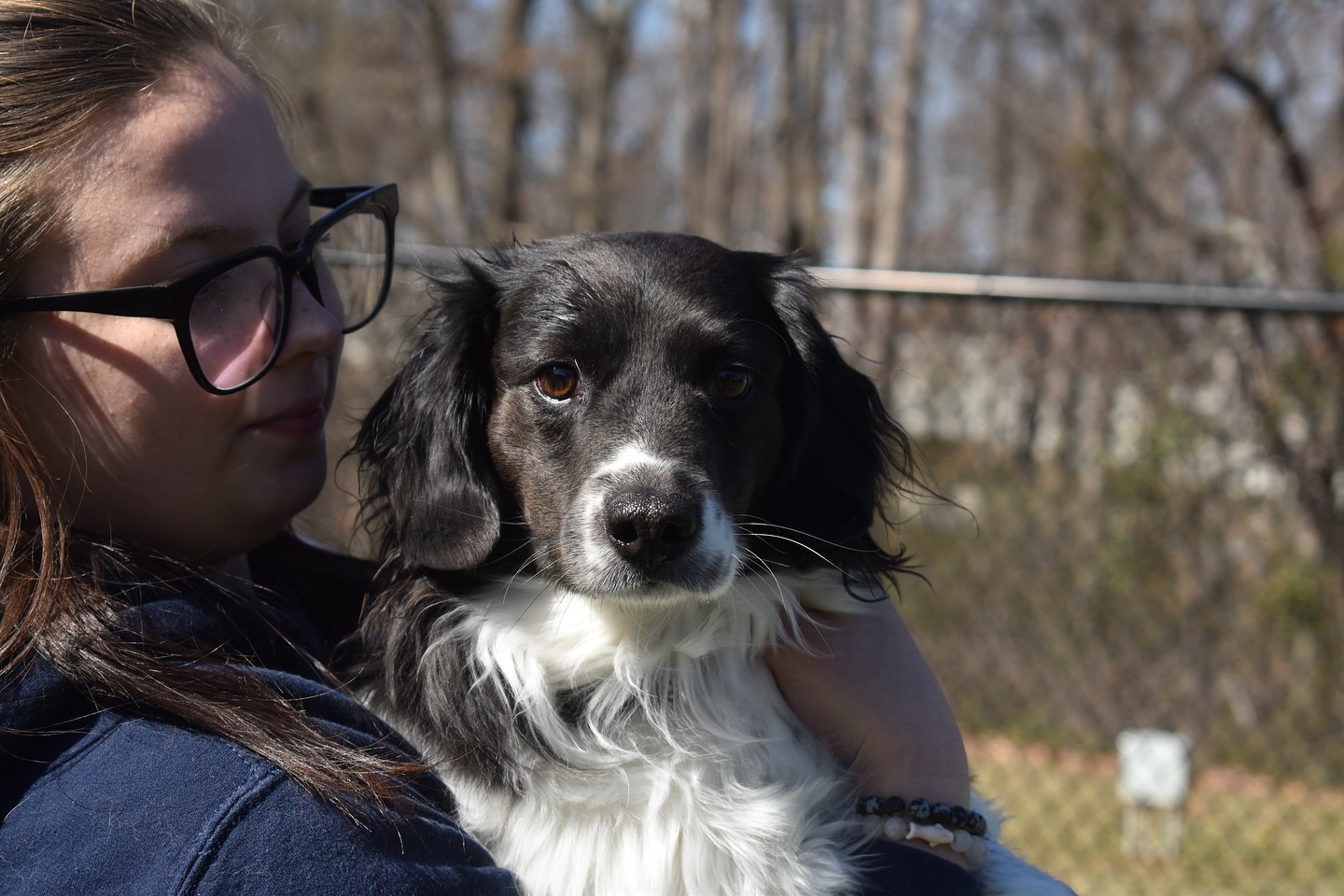 Our House Braselton Boarding: Safe & Loving Care for Your Dog